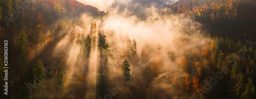 Картината върху платно Aerial view of a misty autumn forest in full fall colors