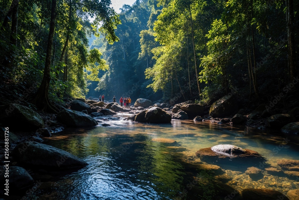 Fototapeta premium Tropical jungle river flows through rich Borneo forest. Small group of hikers walk near rocks, stream in green wild nature. Clear water pool reflects sunlight under dense trees. Scenic landscape view