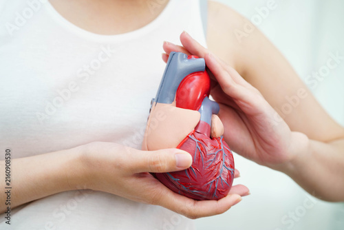 Obraz na płótnie Cardiovascular disease CVD, Asian woman with heart human anatomy model
