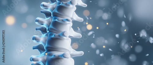 Detailed illustration of a human spine.