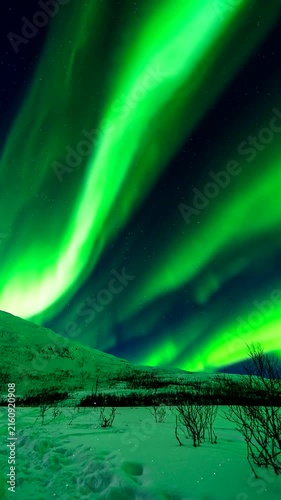Aurora Borealis illuminating the night sky above snow-covered mountains near Tromsø, Norway. Natural polar light display beneath a star-filled sky, vertical time-lapse