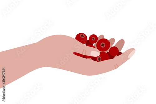 Hand holding red berries – Healthy food, lingonberries, cranberries, foraging wild berries illustration