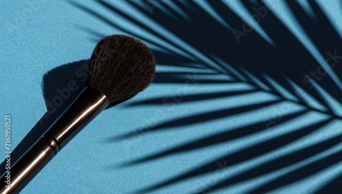 Black makeup brush casts a shadow from a tropical leaf onto blue