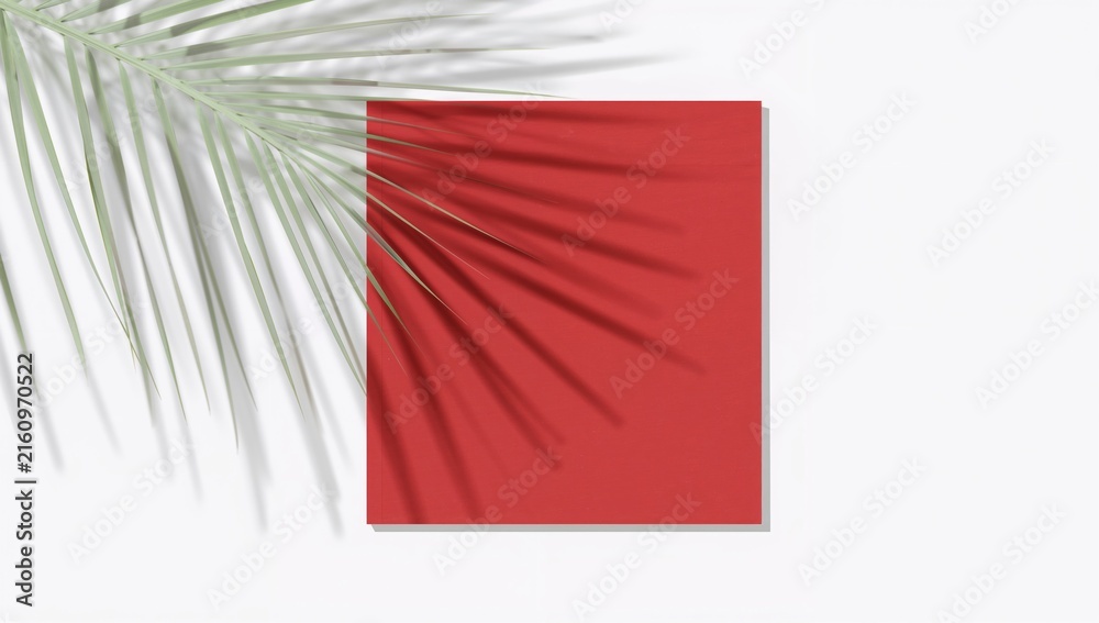 Fototapeta premium Red Square with Palm Leaf Shadow on White Background