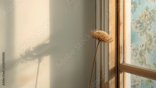 Dried Flower Casting Shadow by a Window with Floral Wallpaper in Soft Light