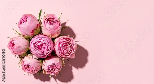 Pink Roses on Pastel Background Floral.
