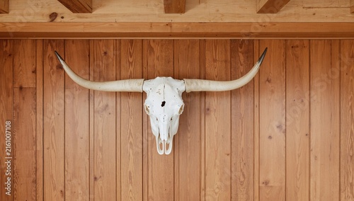 Cow Skull Mounted on Wooden Wall in Rustic Interior