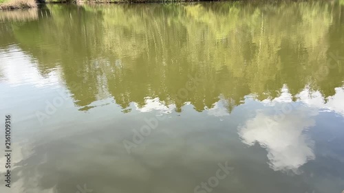 Amsterdan Forest, Calm pond reflection of treeline and sky with shifting ripple patterns, vertical distortions, soft cloud highlights, muted colors, and serene forest water surface