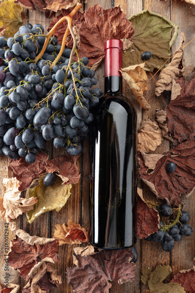 Naklejka premium Bottle of red wine and blue grapes.