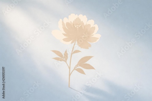 Soft Flower Silhouette on Blue Background with Subtle Shadows