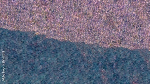 Konstfotografi Abstract mauve and violet textured surface with vertical painterly streaks, mute