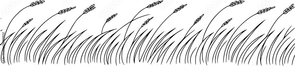 Fototapeta premium A simple black and white line of tall grass and wheat stalks growing in a field border