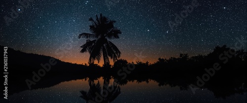 Starry Night Sky Over Silhouetted Palm Tree and Calm Water Reflection