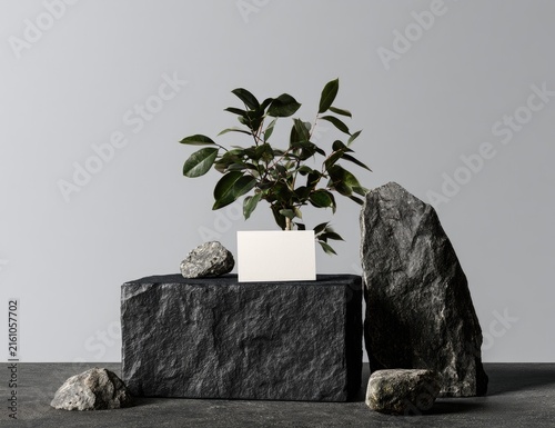 A minimalist composition of dark stones, a plant, and a blank card