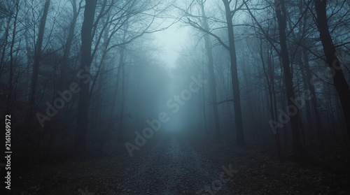 Misty Forest Path in Autumn Fog — Part of a Folk Horror and Dark Poetry Series