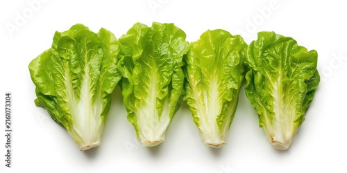 Fresh Romaine Lettuce Hearts Arranged Isolated on White Background