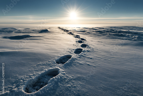 Footprints trace a path across a vast, sunlit snowfield under a brilliant blue sky, with distant mountains on the horizon.