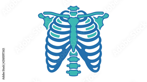 Принти на полотні Human Rib Cage Anatomy