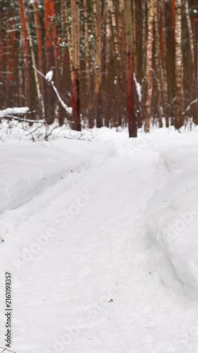 An empty road in the snow. A view of a winter forest covered in snow. The calm atmosphere of cold weather.
