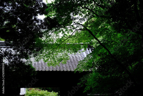 妙興寺