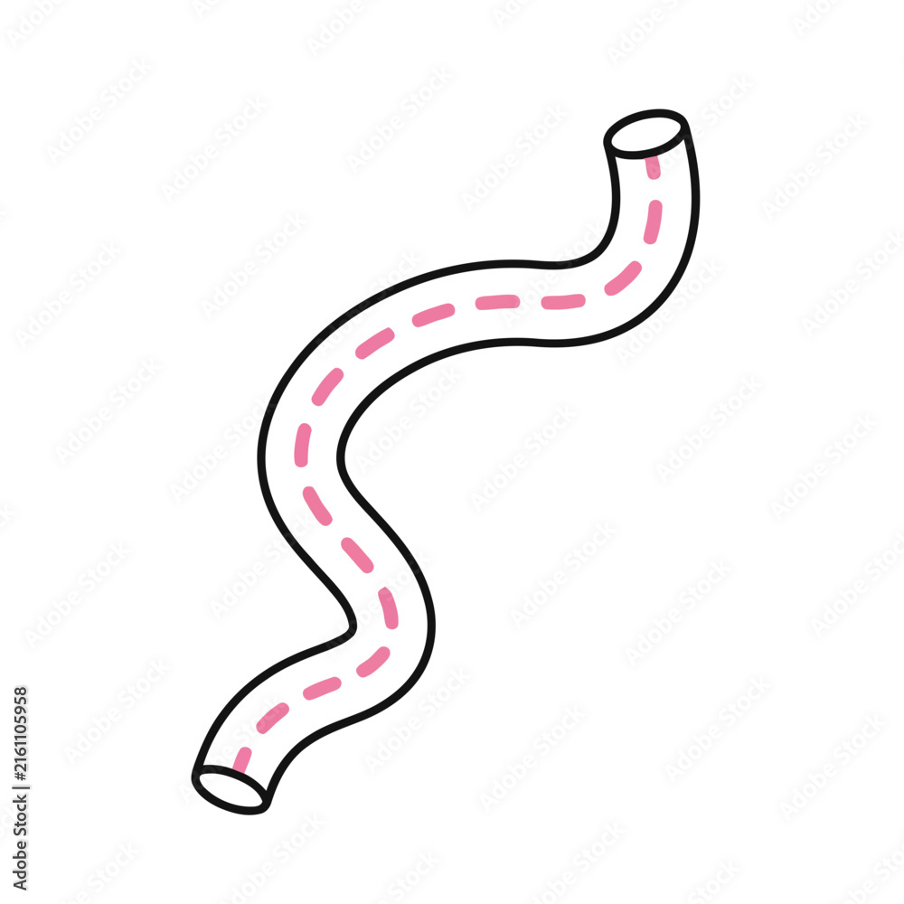 Fototapeta premium Wavy Tube with Dashed Line