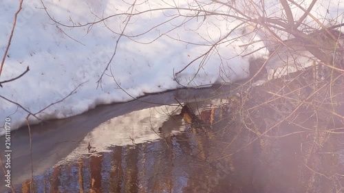 A river of melted snow in spring. The water is brownish due to iron contamination. A tranquil scene evoking quiet solitude and natural beauty.
