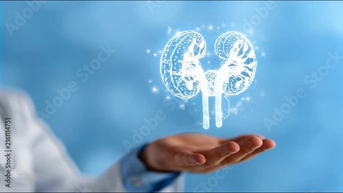 A doctor in a white coat holds a glowing holographic projection of human kidneys in his palm, representing medical technology and.