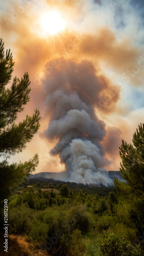 A heatwave caused massive smoke column rising from forest fire under bright sun