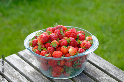 Fresh organic strawberries in a glass cup on a sunny day in the garden