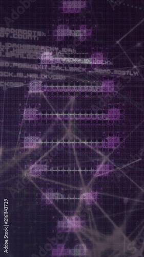 DNA strand and binary coding over abstract network connections