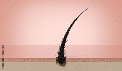Damaged dry single hair strand growing from scalp follicle - 3d illustration