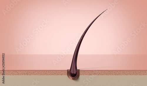 Healthy strong single hair strand growing from skin follicle - 3d illustration