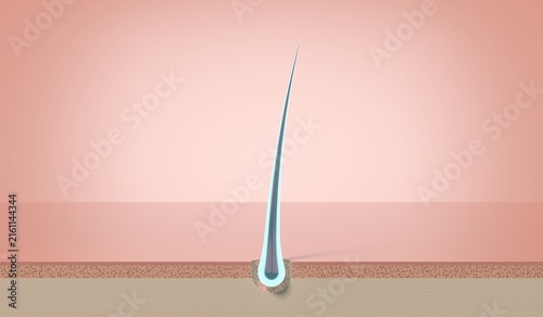 Glowing shiny healthy single hair strand growing from follicle - 3d illustration