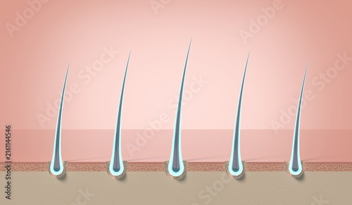 Multiple glowing shiny hair strands growing from scalp follicles - 3d illustration