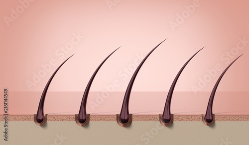 Row of multiple healthy strong hair strands growing on skin scalp - 3d illustration