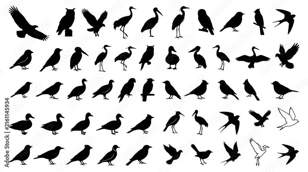 Naklejka premium Diverse black bird silhouette collection.