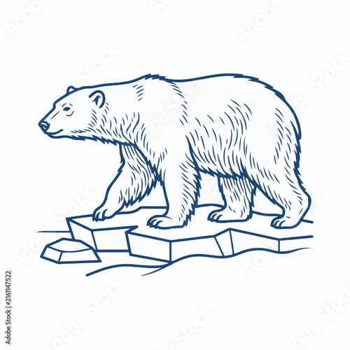 A detailed line art illustration of a majestic polar bear walking on an ice floe.