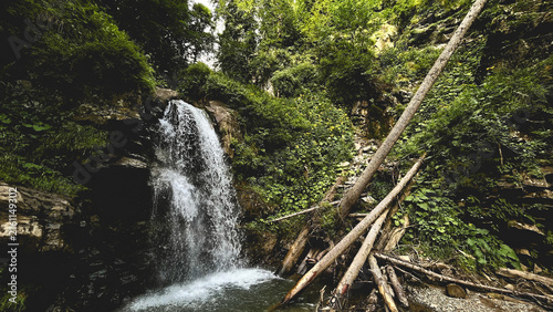 Forest Waterfall in Lush Green Woodland