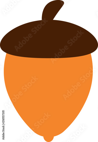 acorn