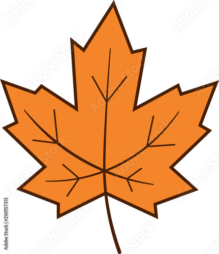 maple leaf vector illustration