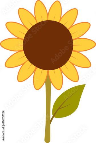 sunflower vector illustration