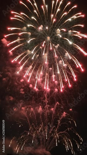 Colorful fireworks exploding in the dark night sky
