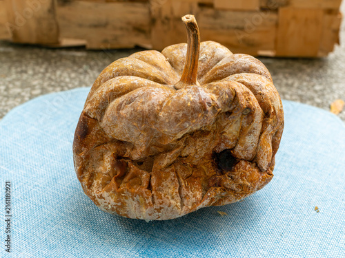 Obraz na płótnie Severely shriveled pumpkin Cucurbita with collapsed skin, discoloration and visible mold demonstrates advanced food spoilage and decomposition