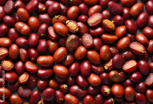 Miracle fruit berries synsepalum dulcificum sweet taste modifier healthy superfood and natural sweetener