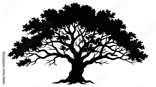 Large oak tree silhouette with spreading branches.