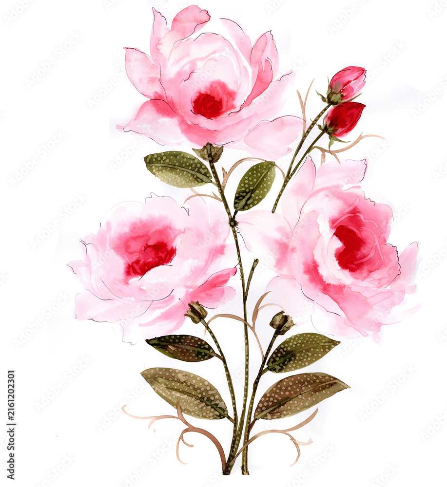 Fototapeta premium Hand drawn watercolor flowers