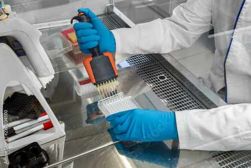 Fotografie Hand in gloves of specialist dispensing samples into a plate using a multichannel pipette