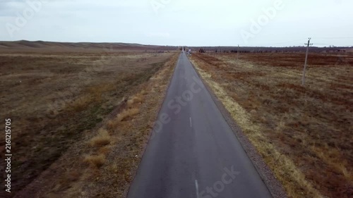 Straight asphalt road through empty dry fields under cloudy sky, aerial view