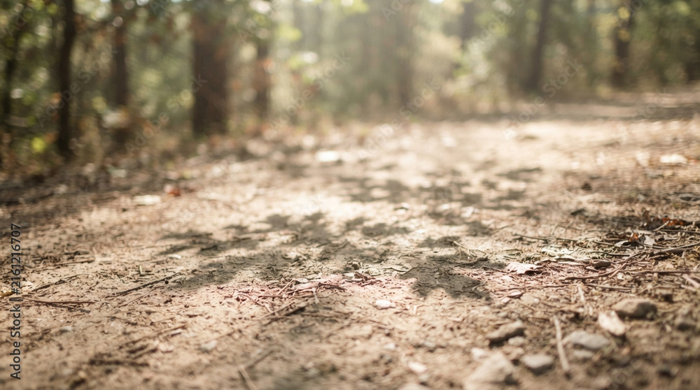 Fototapeta premium Dirt path through peaceful green forest with dappled sunlight shadows, sunlight