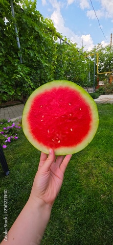 Fotografie Hand Holding Fresh Juicy Watermelon Slice in Summer Garden